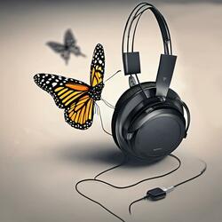Butterflies