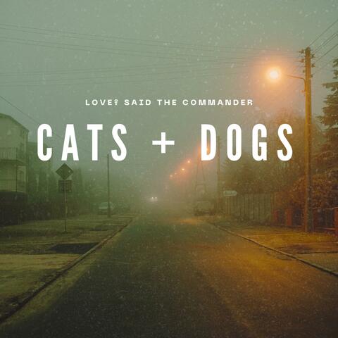 Cats + Dogs