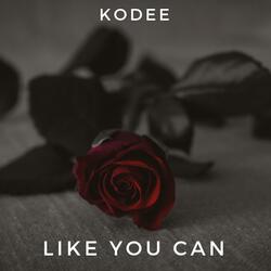 Like You Can