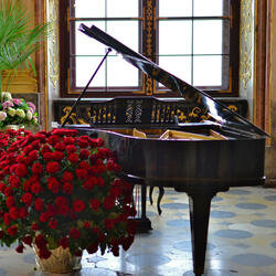 Whispers in the Breeze