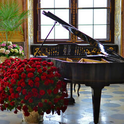 Mystienne by Lydia Grace