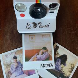 Polaroid