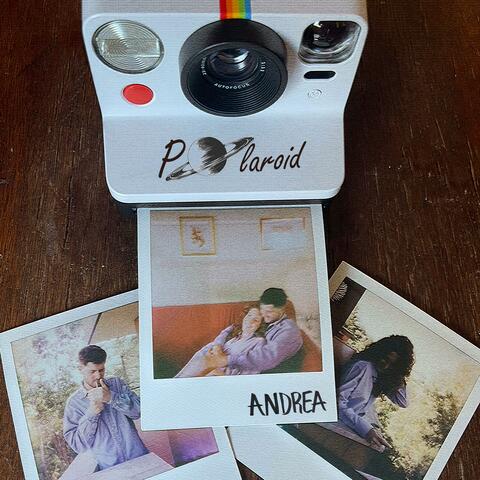 Polaroid
