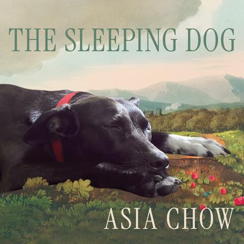 The Sleeping Dog