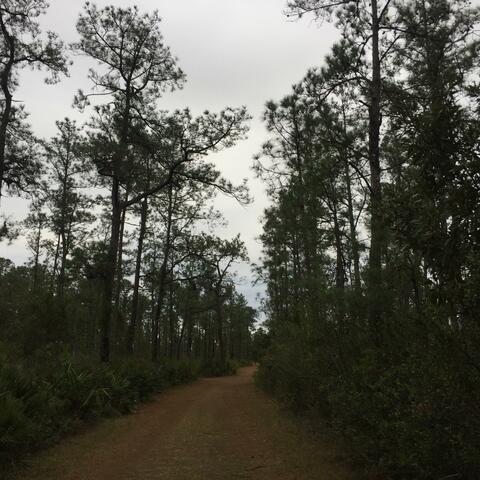 VII: And All of This Was Done in Secret