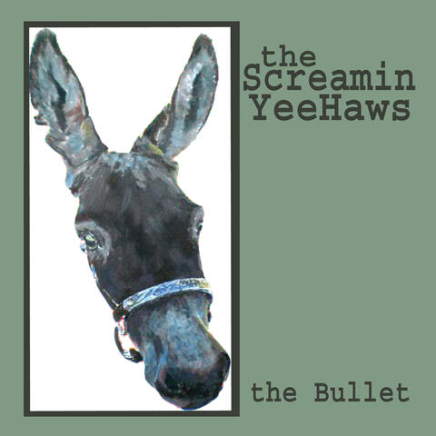 The Bullet