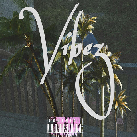 Vibez