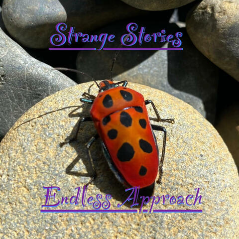 Strange Stories