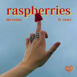 raspberries (feat. yuwe)