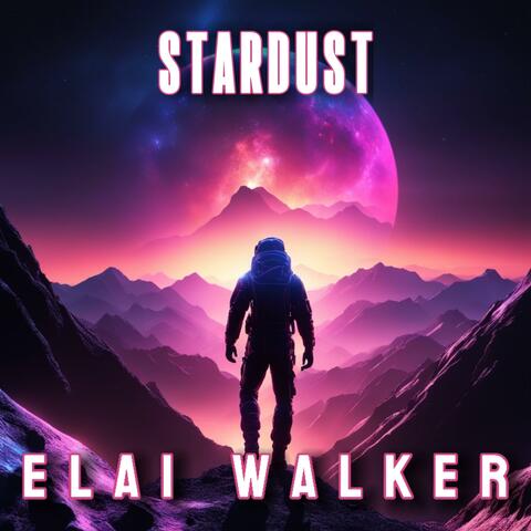 STARDUST