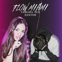 FLOW MIAMI (feat. Tamaradlr)