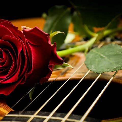 ACD4U  (Acoustic)