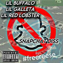 FREE REESE #FUCKSNAPCHAT (feat. lil galleta & lil red lobster)