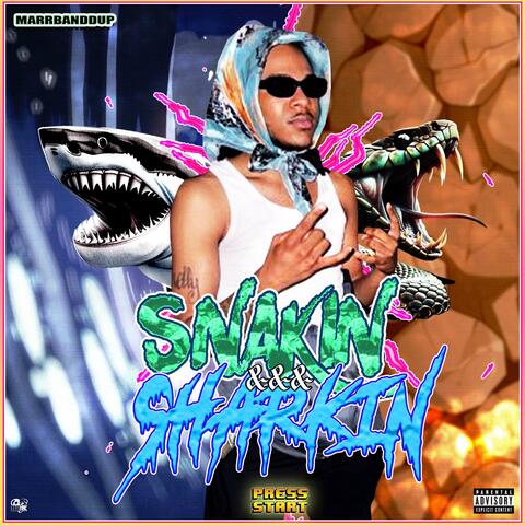 SNAKIN N SHARKIN