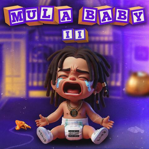 Mula Baby 2