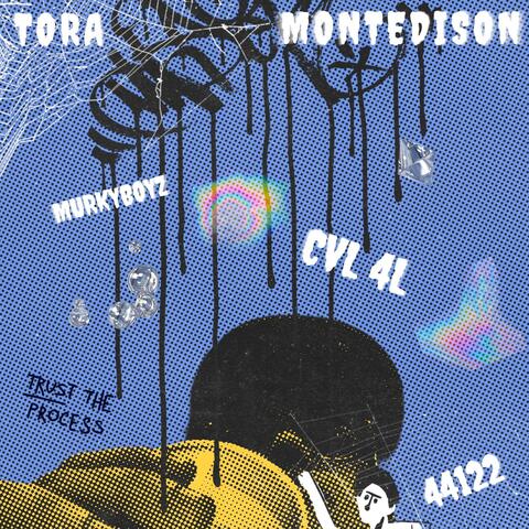Montedison