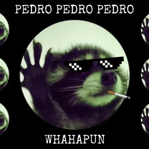 PEDRO PEDRO PEDRO (WhaHaPun Edit)