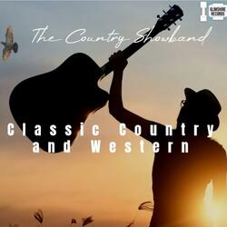 Trail Of The Lonely Rider