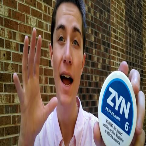 wtf is a zyn