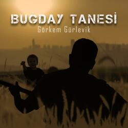Buğday Tanesi