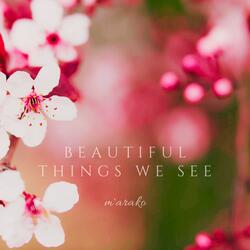 Beautiful Things We See