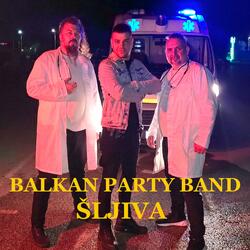 Sljiva (Ajde Kume Nazdravi)
