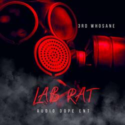 Lab Rat
