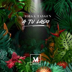 A Tu Lado