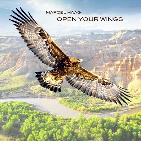 Open Your Wings