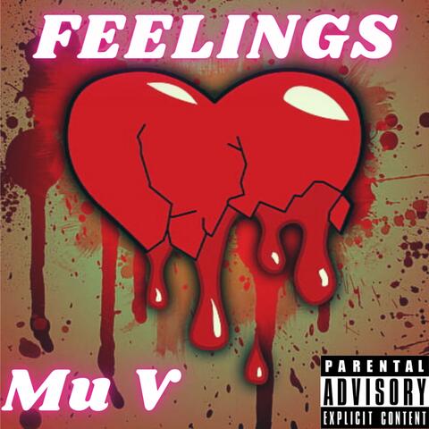 Feelings