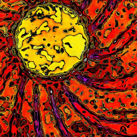 Running From The Sun