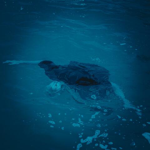 Drown Me