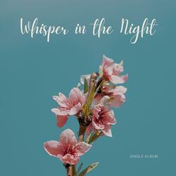Whisper in the Night