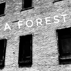 A Forest