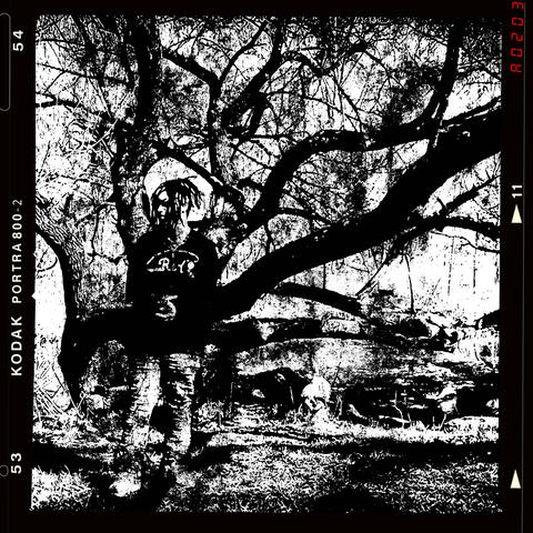 R00K!3_Y34R (feat. Khy!)