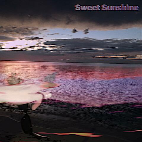 Sweet Sunshine