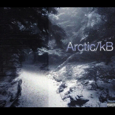 Arctic