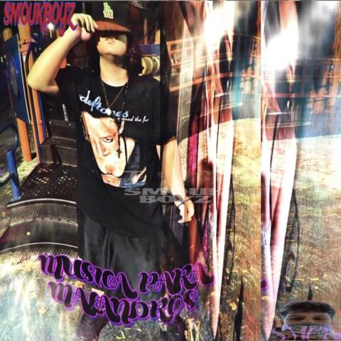 MUSICA PARA MALANDROS