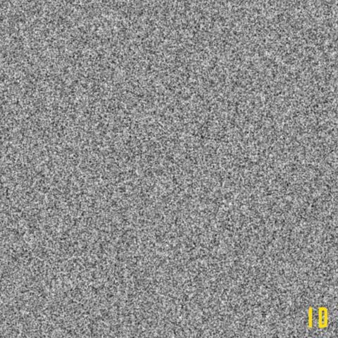 FM NOISE
