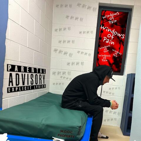 Windows of pain
