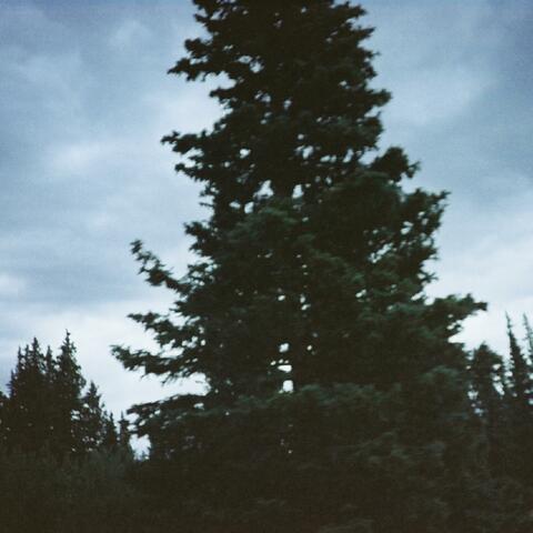 audiodiary 19
