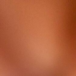 Ocean Polaroid (with Eric Alterman)