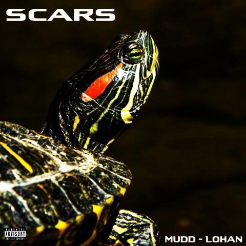 Scars (feat. Divine Lohan)