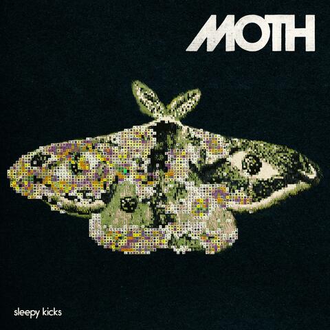 Moth