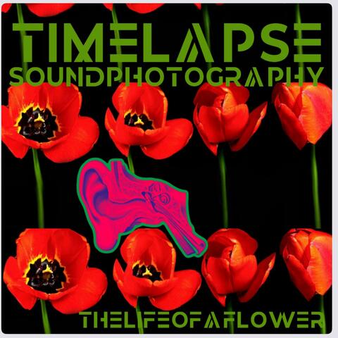 TheLifeofaFlower