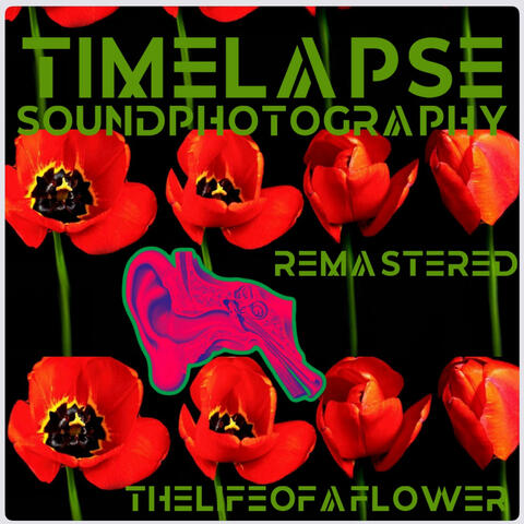 The Life of a Flower (Remastered Version)