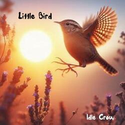 Little Bird