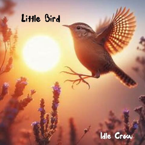Little Bird