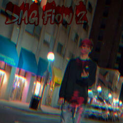 DMG Flow 2