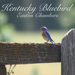 Kentucky Bluebird
